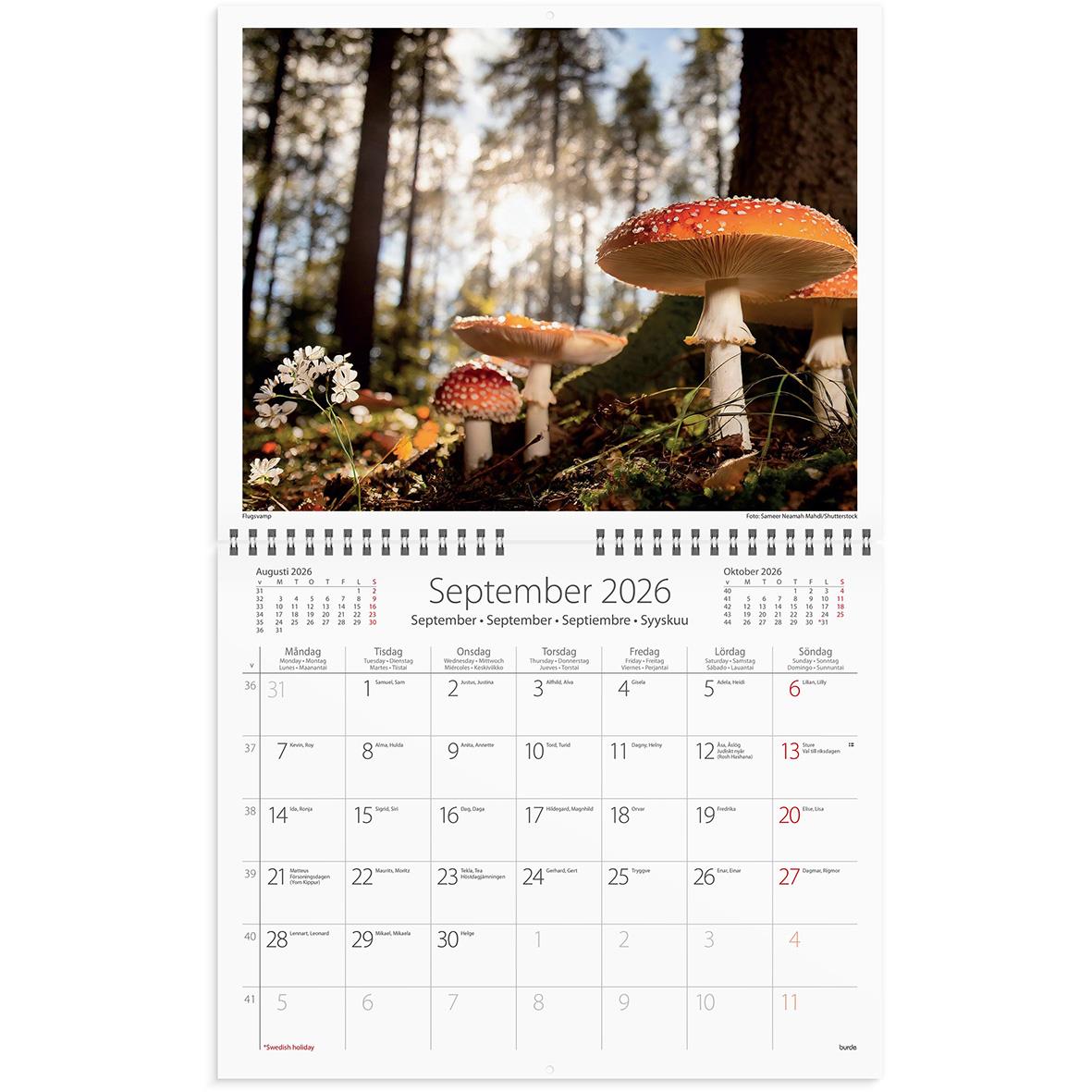 Väggkalender Burde 1735 Vår vackra skog 2026