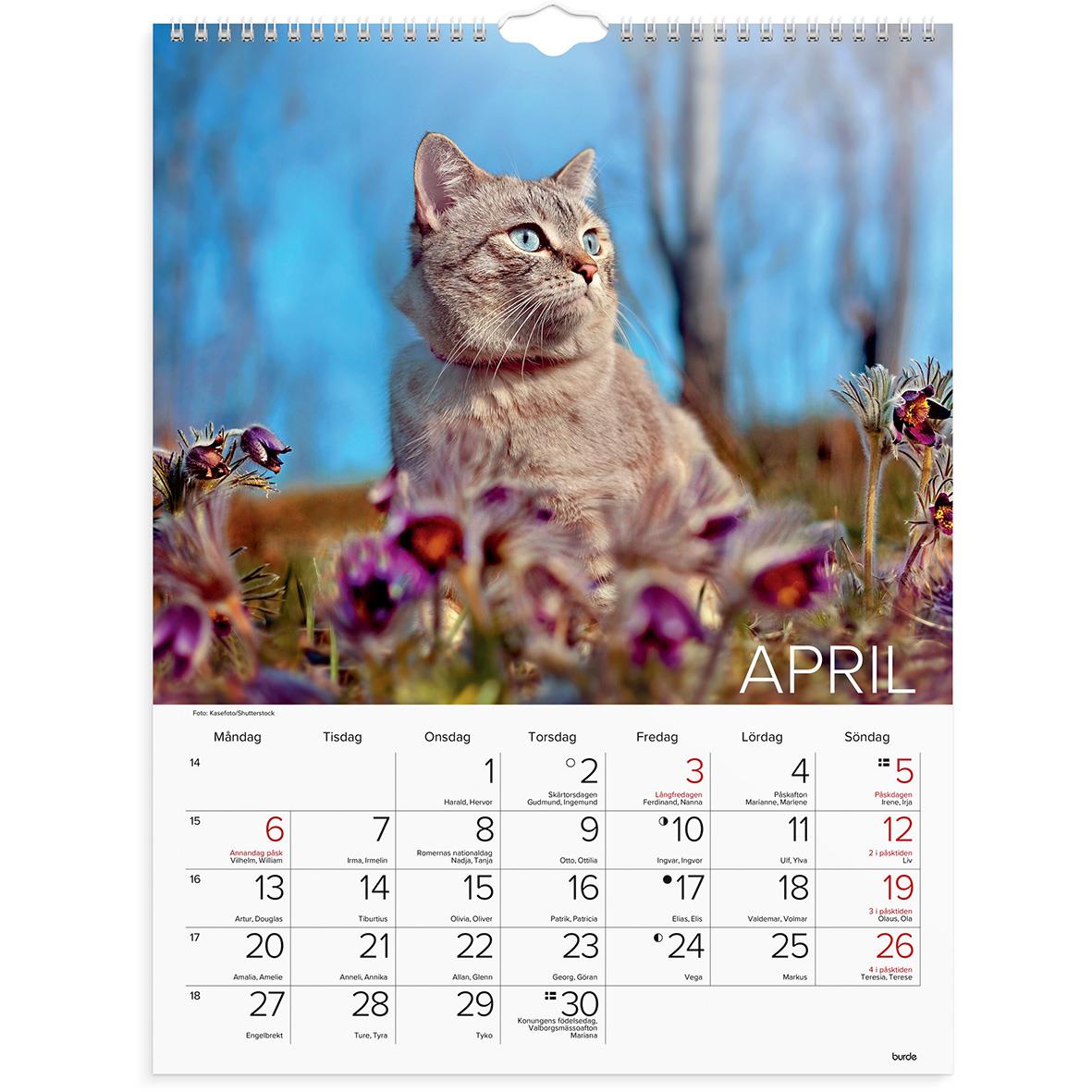 Väggkalender Burde 1775 Katter 2026