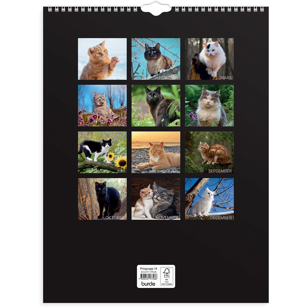 Väggkalender Burde 1775 Katter 2026