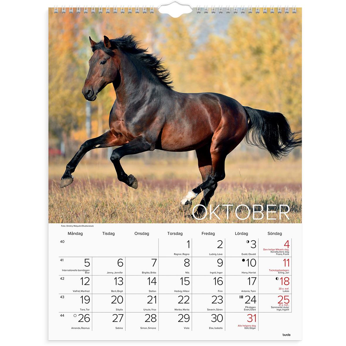 Väggkalender Burde 1776 Hästar 2026