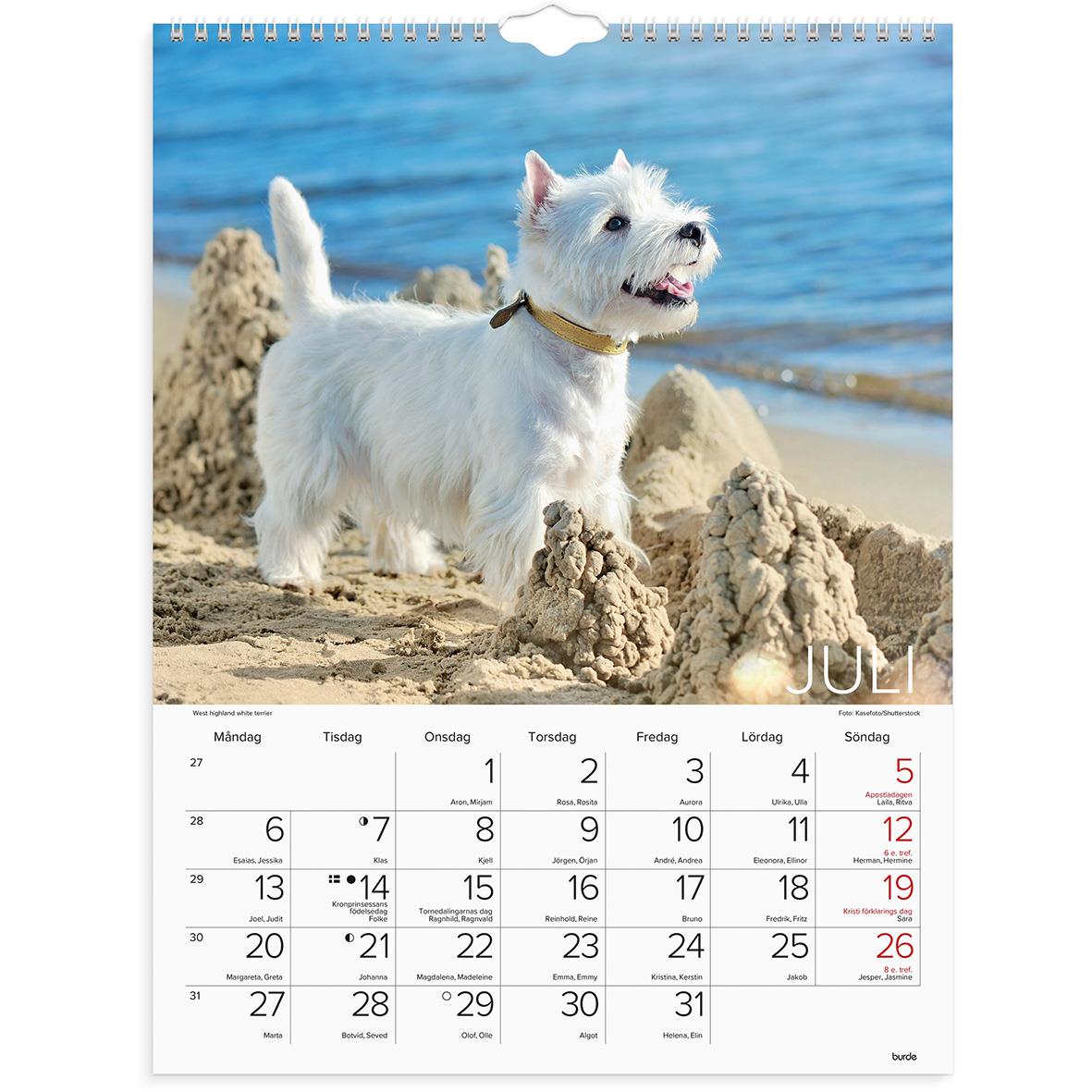 Väggkalender Burde 1777 Hundar 2026