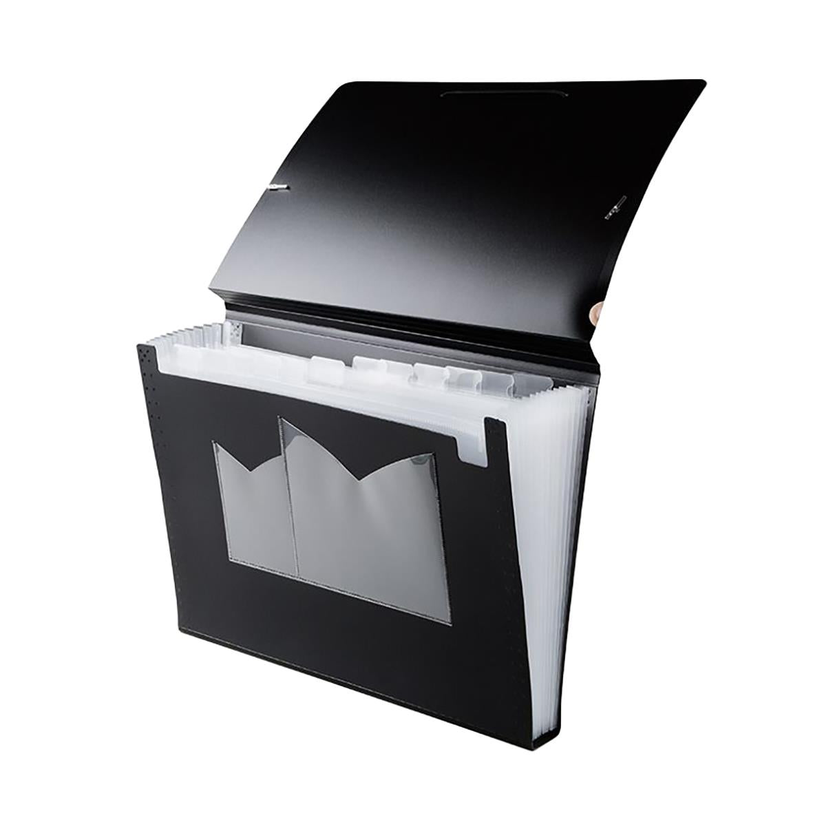 Hemarkiv/Projektmapp Docusmart PP Svart A4 13 Fickor