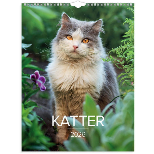 Väggkalender Burde 1775 Katter 2026