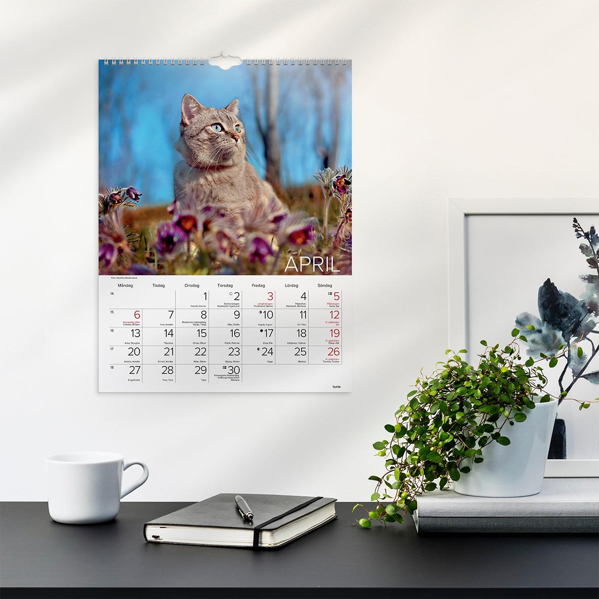 Väggkalender Burde 1775 Katter 2026