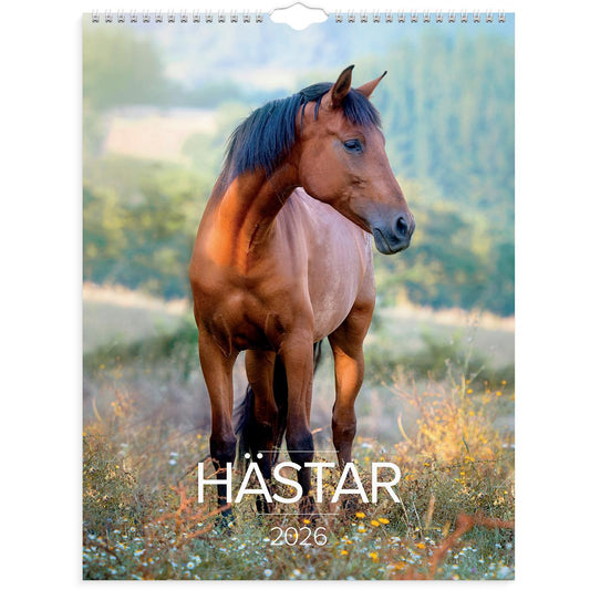 Väggkalender Burde 1776 Hästar 2026
