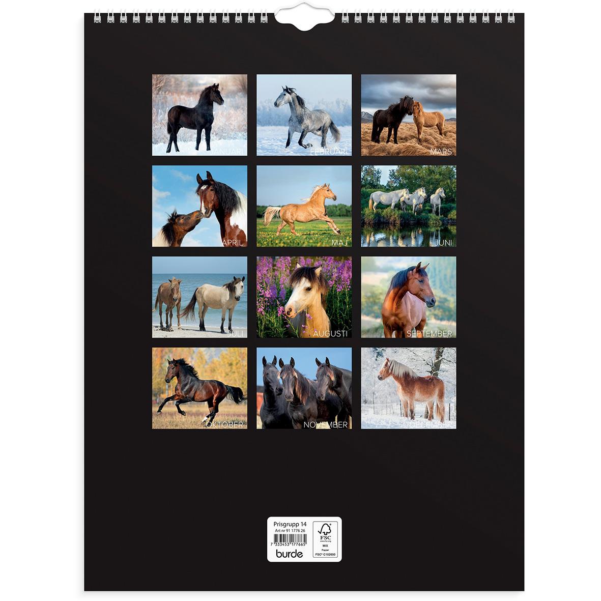 Väggkalender Burde 1776 Hästar 2026