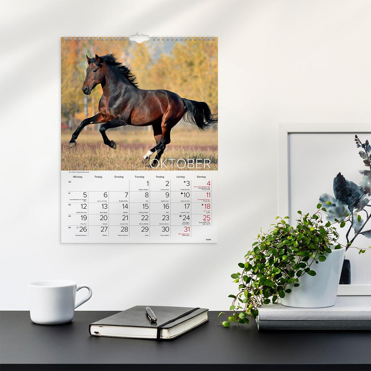 Väggkalender Burde 1776 Hästar 2026