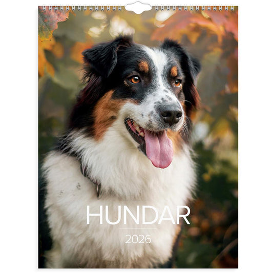 Väggkalender Burde 1777 Hundar 2026