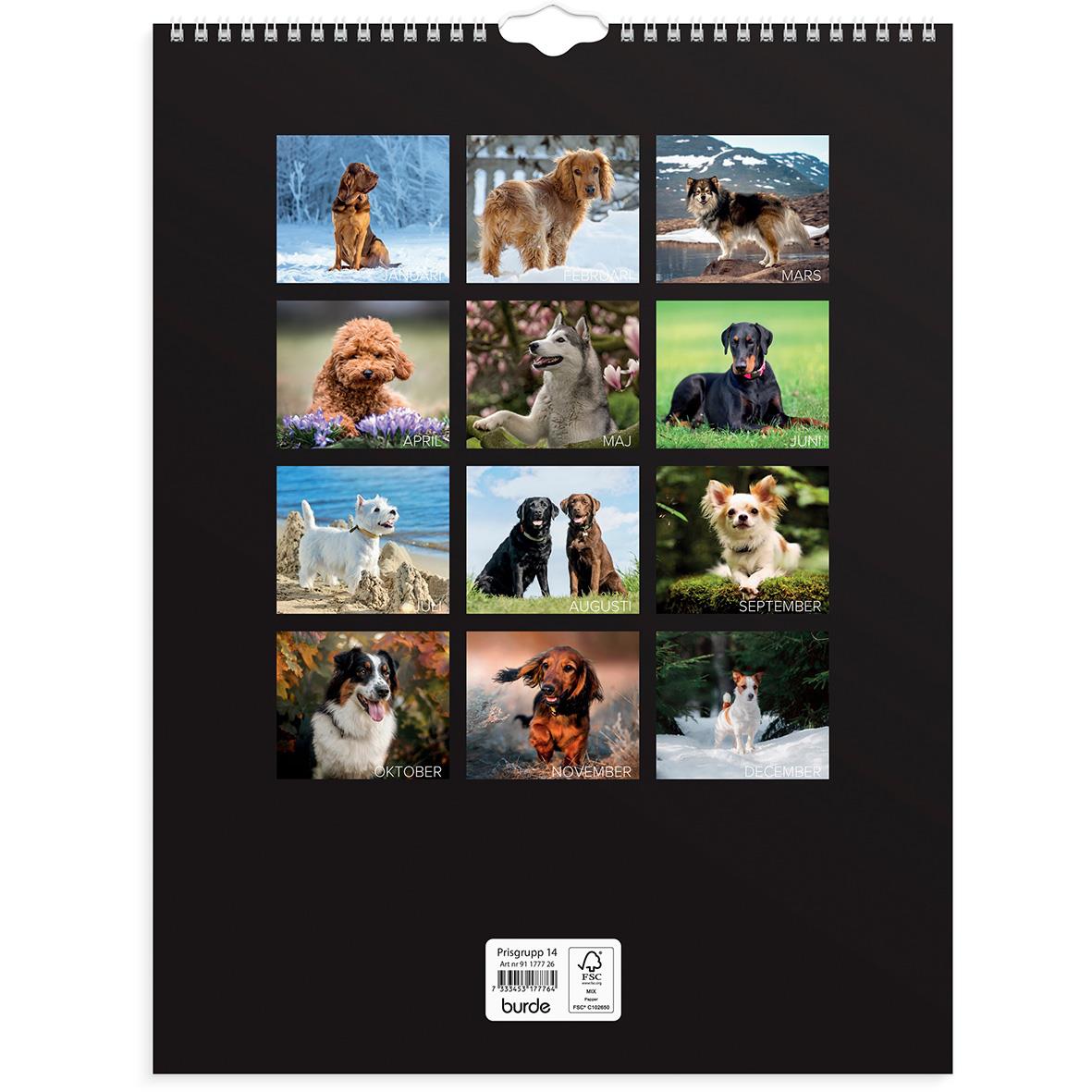 Väggkalender Burde 1777 Hundar 2026