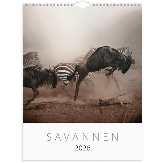 Väggkalender Burde 1761 Savannen 2026
