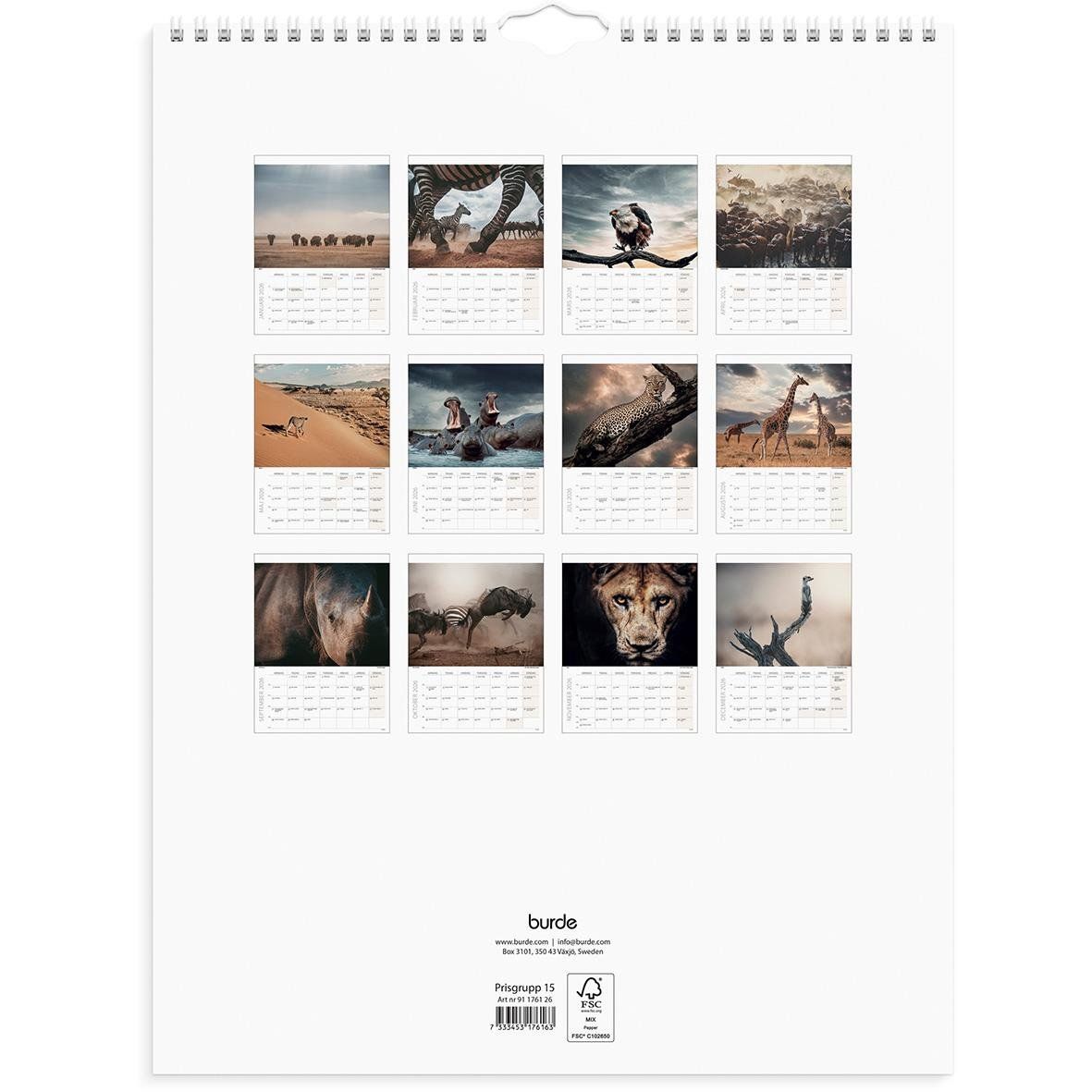 Väggkalender Burde 1761 Savannen 2026